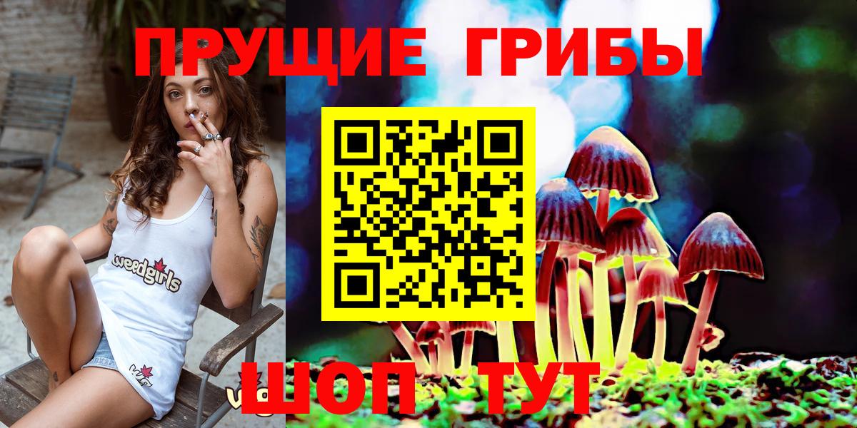 Псилоцибиновые грибы мицелий  Псилоцибиновые грибы Cubensis  Кинешма  Вход с VPN 