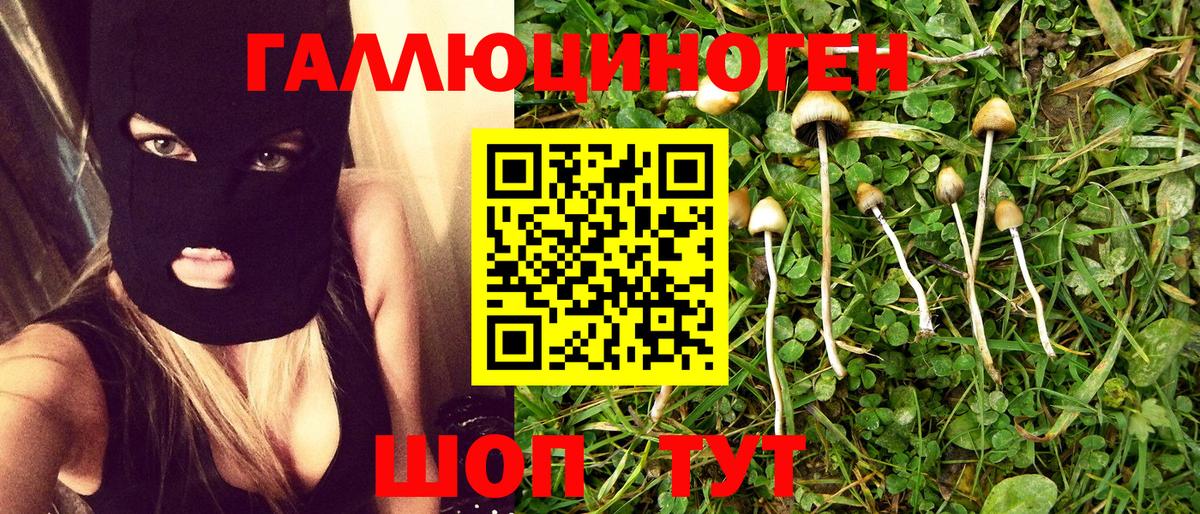 Псилоцибиновые грибы мицелий Кинешма